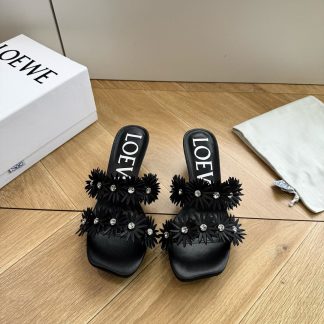 G042 Slides LOEWE FW &