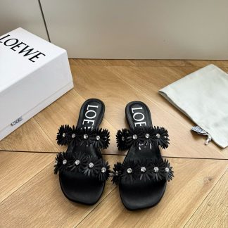 G042 Slides LOEWE FW &