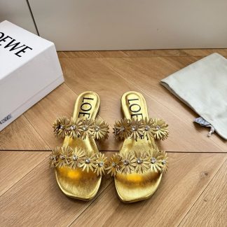 G042 Slides LOEWE FW &
