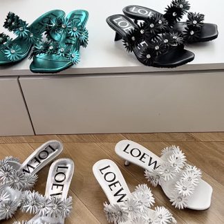 G042 Slides LOEWE FW &
