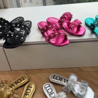G042 Slides LOEWE FW &
