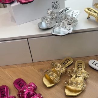 G042 Slides LOEWE FW &