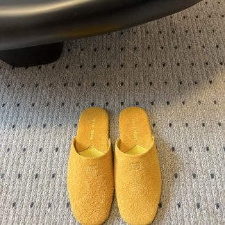 Miu Miu Slides